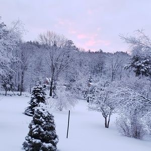 Meet your Posher, Kathleen